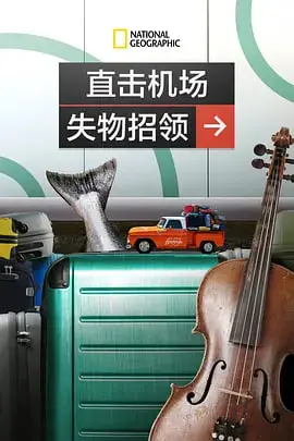 《直击机场失物招领》封面