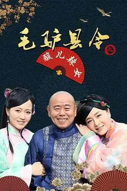 《毛驴县令之酸儿辣女》封面