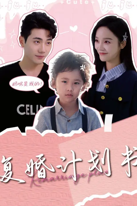 《复婚计划书》封面