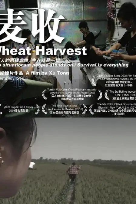 《麦收》封面