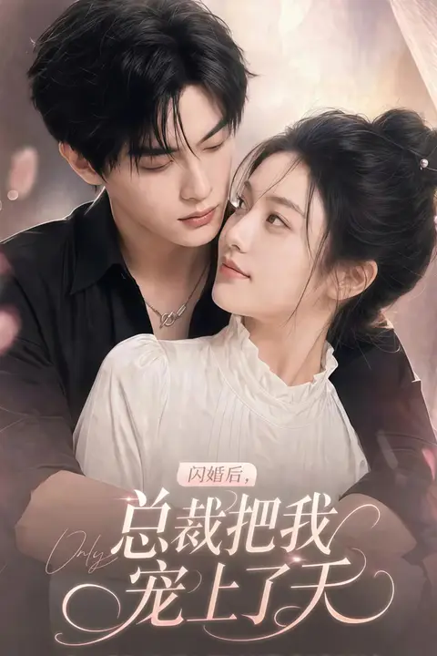 《闪婚后，总裁把我宠上了天》封面