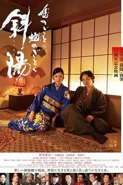《斜阳》封面