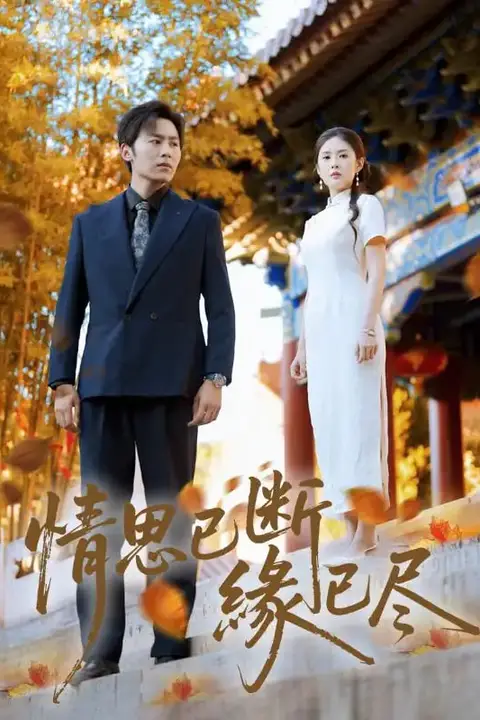 《情思已断缘已尽》封面
