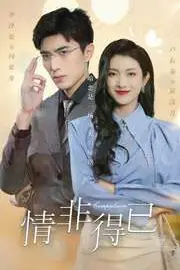 《情非得已》封面