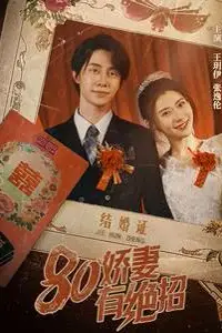 《80娇妻有绝招》封面