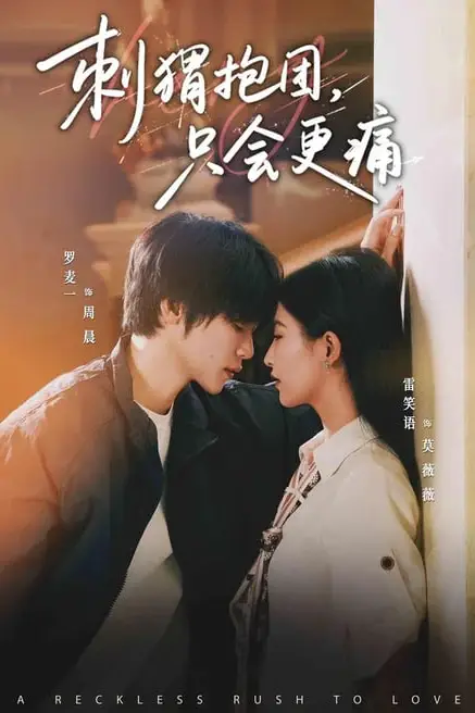 《刺猬抱团，只会更痛》封面