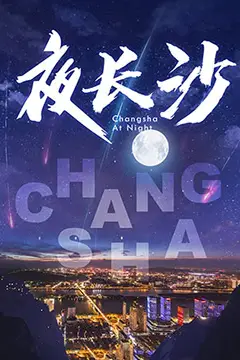 《夜长沙》封面