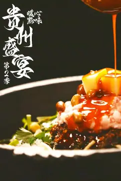 《贵州盛宴第二季》封面