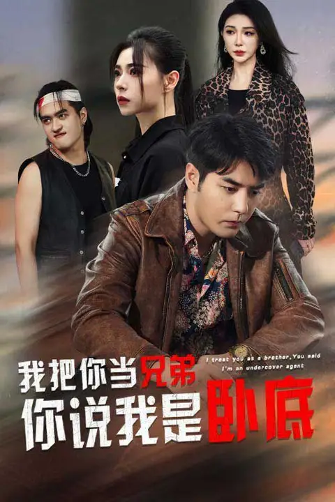 《我把你当兄弟你说我是卧底》封面