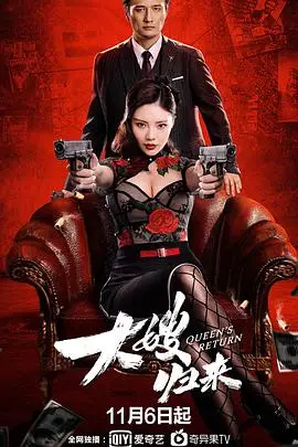 《大嫂归来》封面