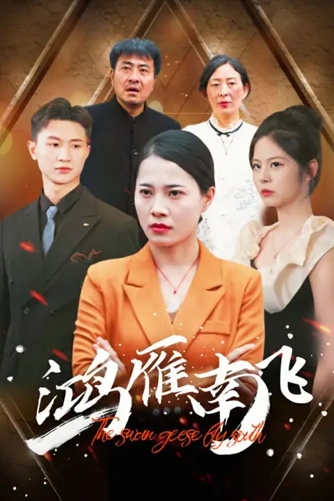 《鸿雁南飞》封面