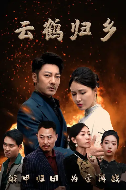 《云鹤归乡》封面