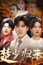 《楚少归来》封面
