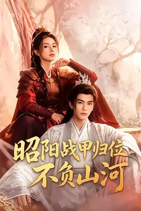 《昭阳战甲归位不负山河》封面
