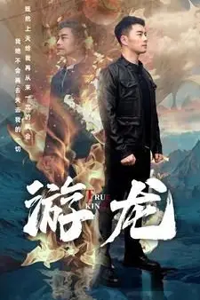 《游龙》封面