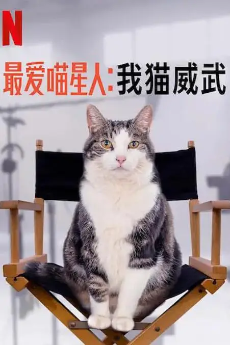 《最爱喵星人:我猫威武》封面