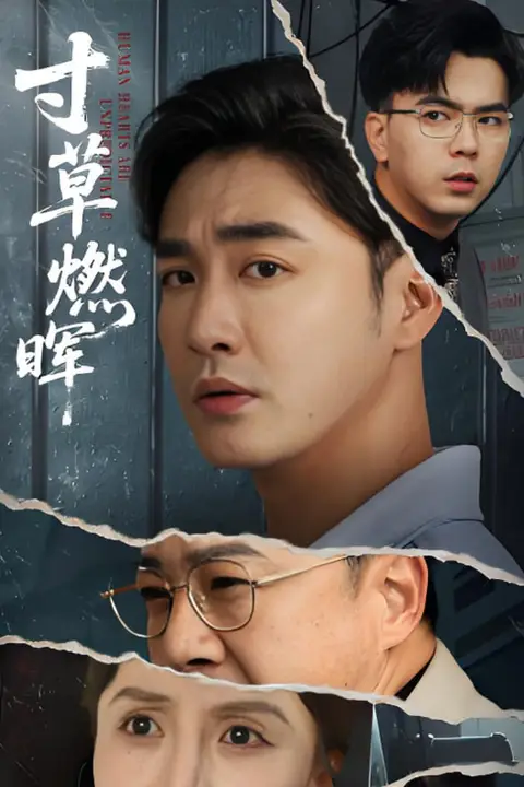 《寸草燃晖》封面