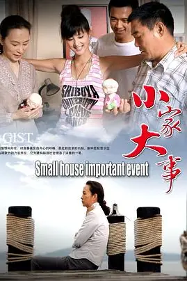 《小家大事》封面