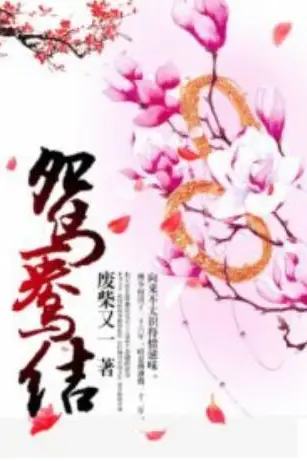 《鸳鸯结》封面