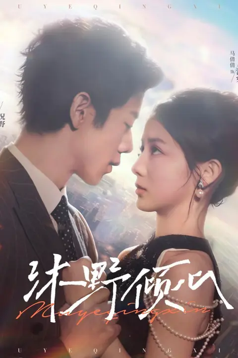 《沐野倾心》封面