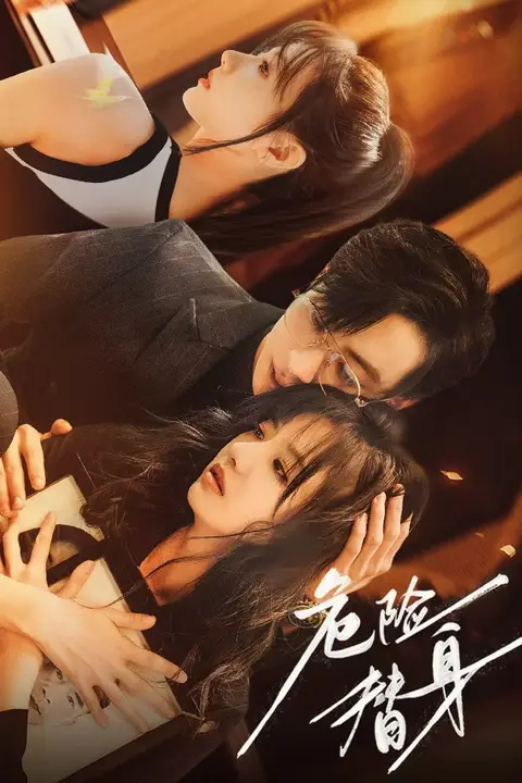 《危险替身》封面