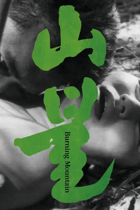 《山火》封面