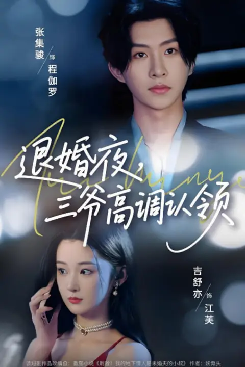 《退婚夜三爷高调认领》封面
