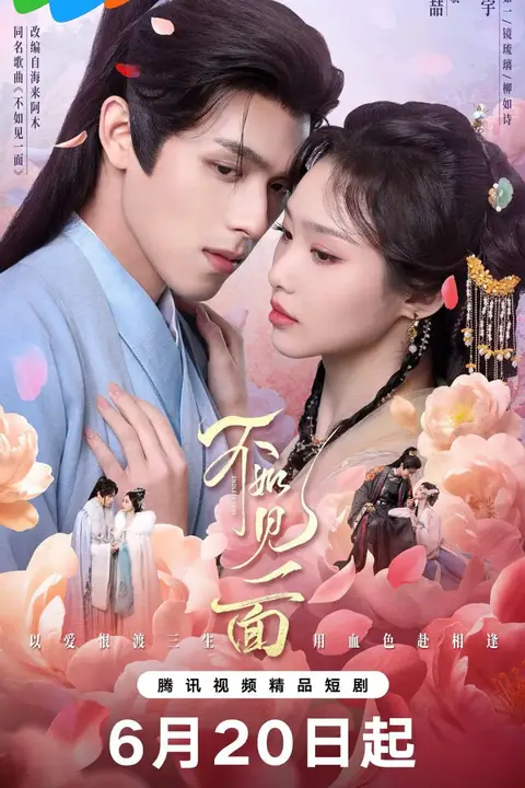 《不如见一面》封面