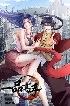 《一品高手》封面