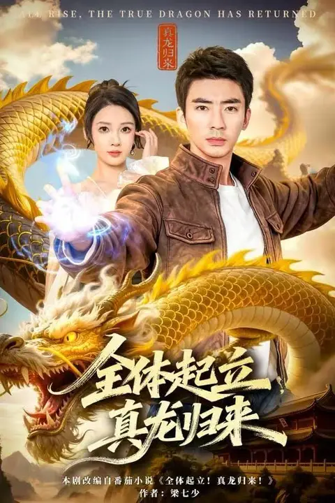 《全体起立,真龙归来》封面