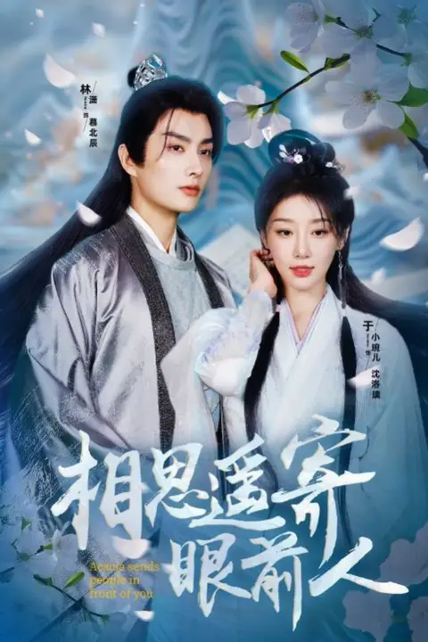 《相思遥寄眼前人》封面