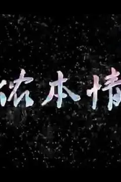 《侬本情》封面