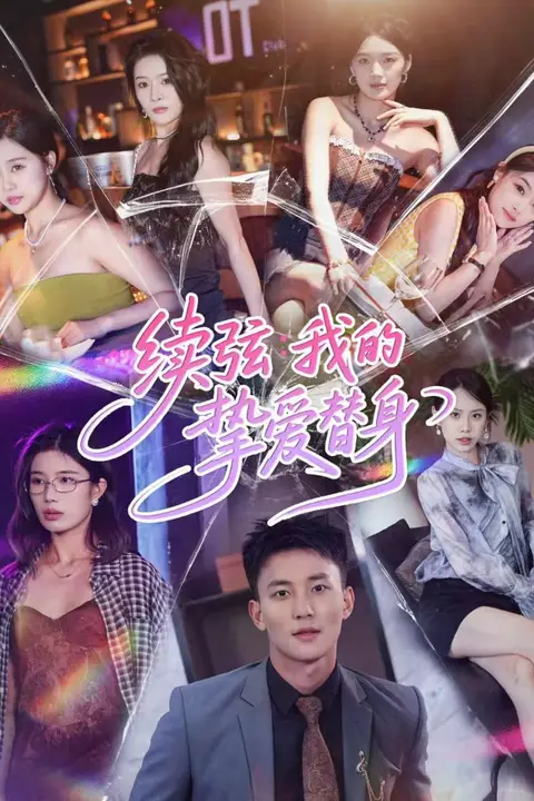 《续弦我的挚爱替身》封面