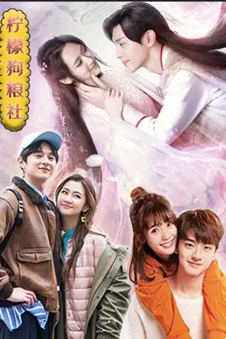 《柠檬狗粮社》封面