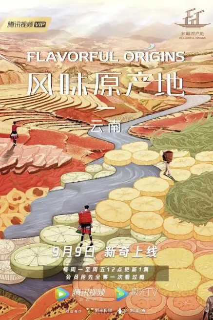 《风味原产地·云南》封面