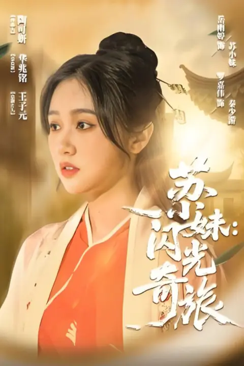 《苏小妹闪光奇旅》封面