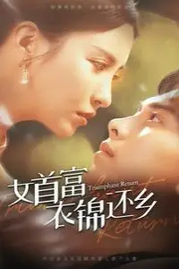 《女首富衣锦还乡》封面