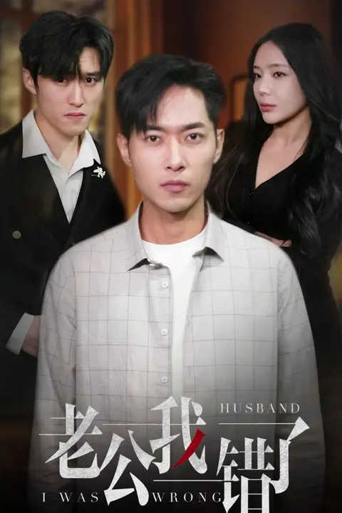 《老公我错了》封面