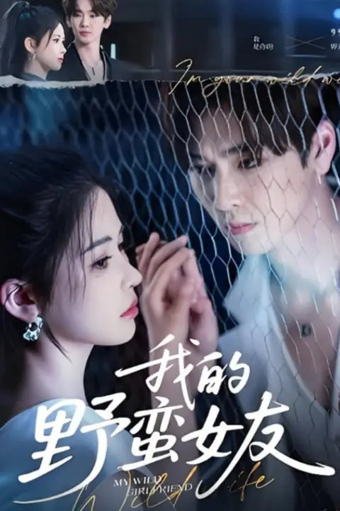 《我的野蛮女友》封面