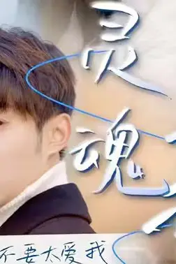 《灵魂互换后之叶总不要太爱我》封面