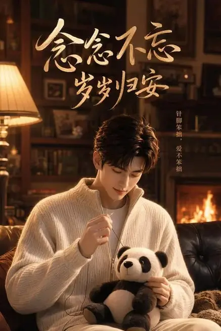 《念念不忘岁岁归安》封面