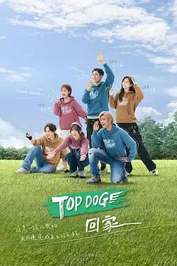 《TOP DOG》封面