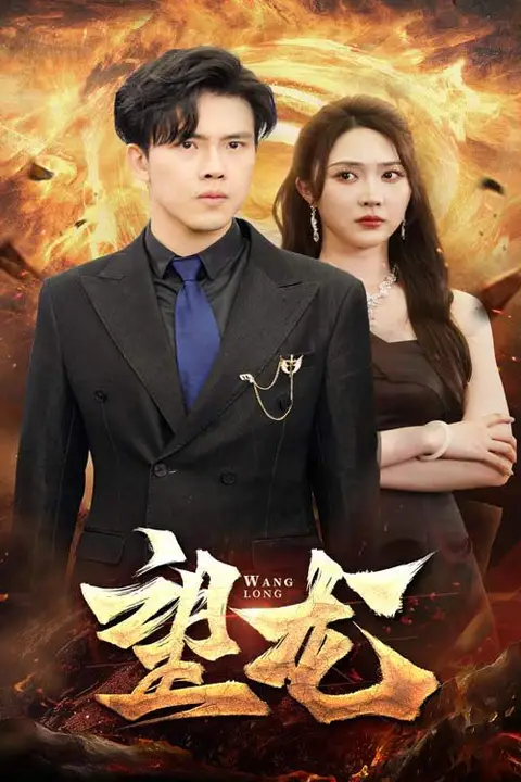 《望龙》封面