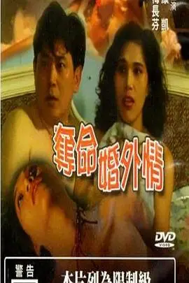《夺命婚外情》封面