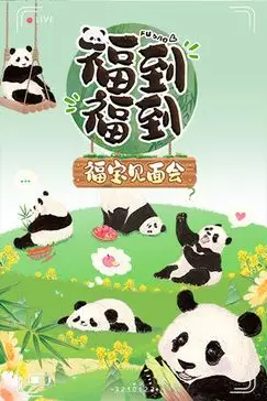 《福到福到福宝见面会》封面