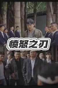 《愤怒之刃》封面