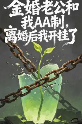 《金婚老公和我AA制，离婚后我开挂了》封面