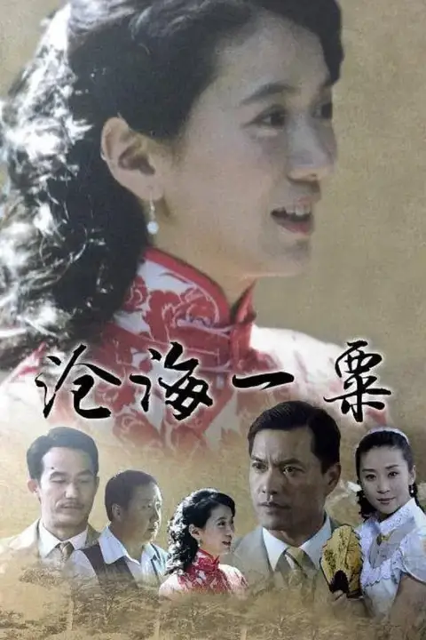 《沧海一粟》封面