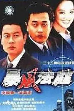《暴风法庭》封面