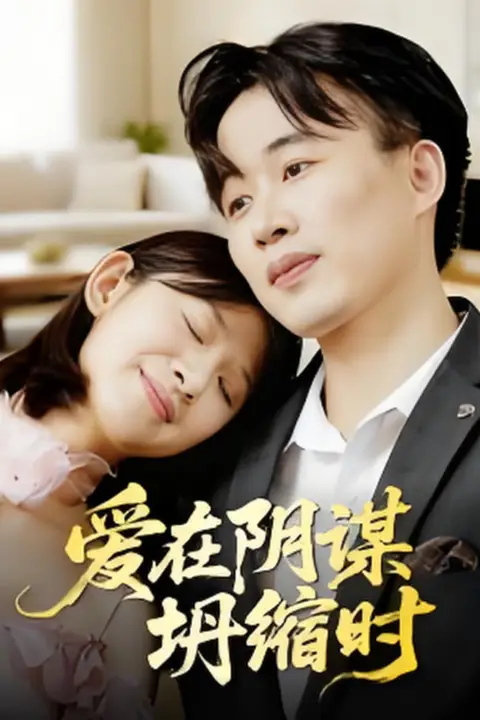 《爱在阴谋坍缩时》封面